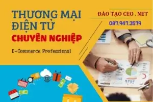 Khóa học THƯƠNG MẠI ĐIỆN TỬ ngắn hạn